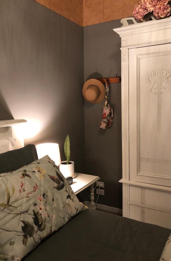 Cosy Country Stay B&B Matamata Ngoại thất bức ảnh